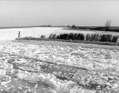 Ice in harbour of Willemstad